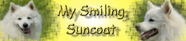 My-Smiling-Suncoat